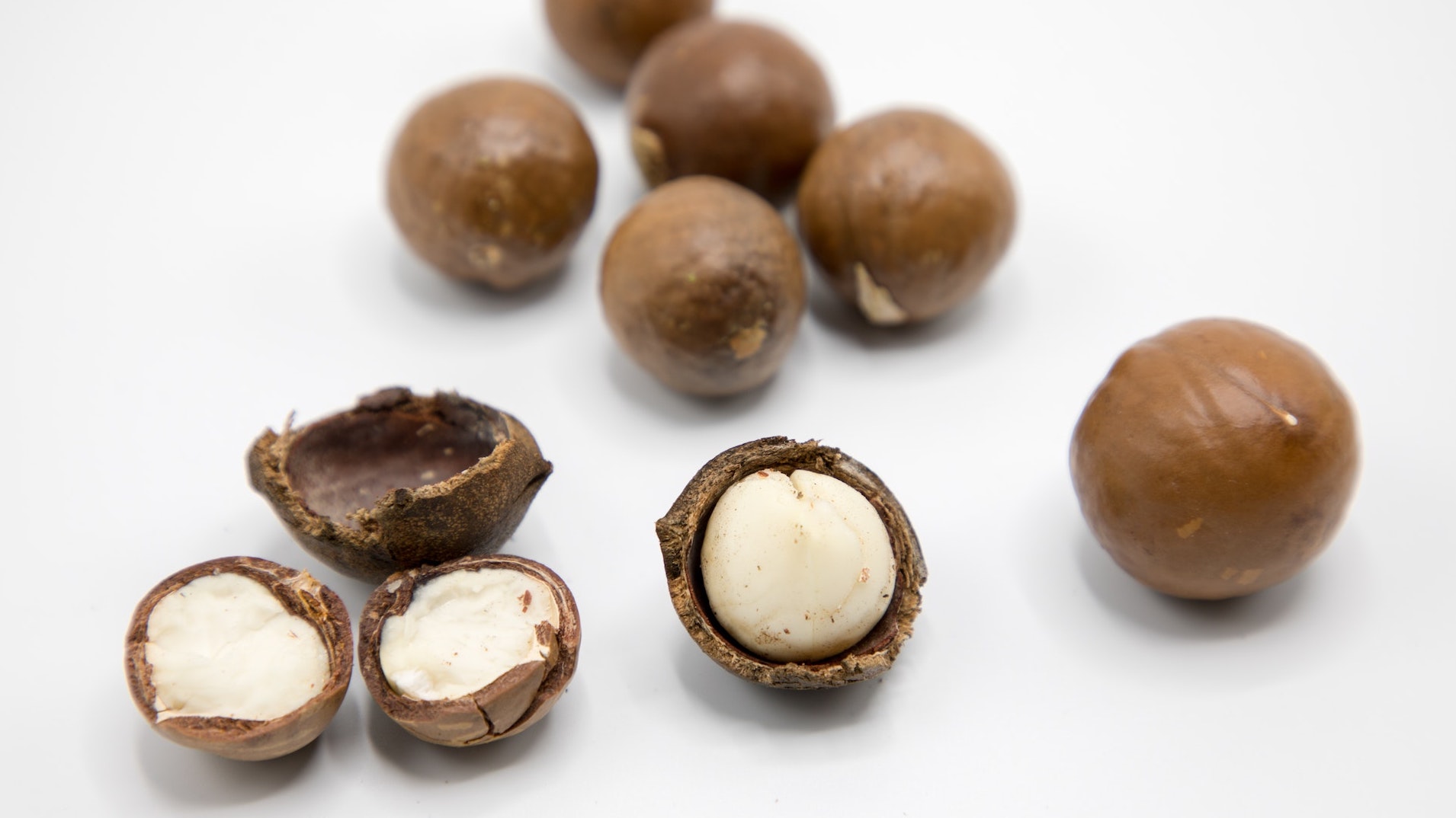 China Fuels South Africa’s Macadamia Exports Produce Report